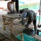 18- Ensuite elles sont remises dans l'eau au repos 